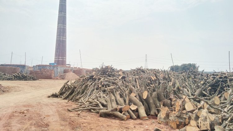 হাইকোর্টের নির্দেশনার পরও চাঁপাইনবাবগঞ্জে বন্ধ হয়নি শতাধিক ইটভাটা