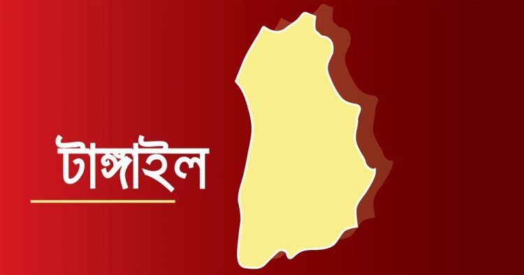 টাঙ্গাইলে বিএনপির ১৭ নেতাকর্মীকে আটকের অভিযোগ