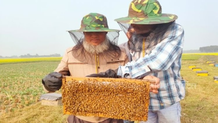 ২৬০০ টাকায় শুরু, এখন মাসে আয় লাখের বেশি