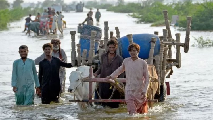  বন্যার ক্ষতি মোকাবিলায় পাকিস্তানের ১৬ বিলিয়ন ডলার প্রয়োজন