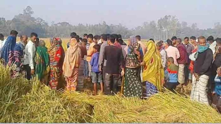 ধানক্ষেতে মিললো পুলিশ সদস্যের স্ত্রী মরদেহ