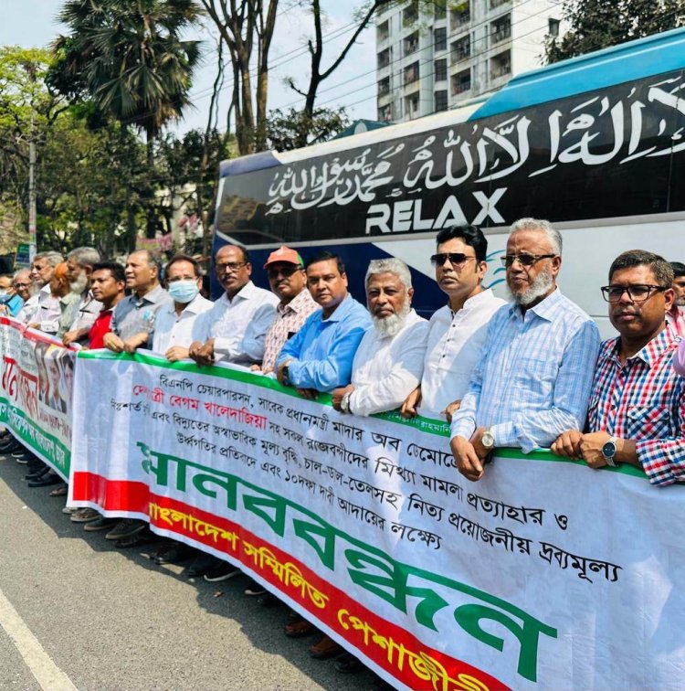 রাজধানীতে পেশাজীবীদের মানববন্ধন: সরকারকে হঠাতে না পারলে দেশের সার্বভৌমত্ব বিপন্ন হবে