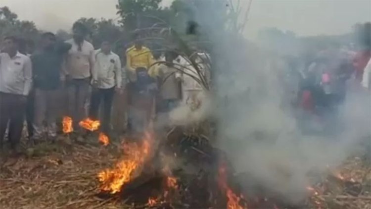 কৃষকরা উৎপাদিত পেঁয়াজ ক্ষেতেই জ্বালিয়ে দিচ্ছেন!