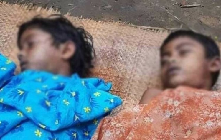 নদীতে গোসল করতে নেমে প্রাণ গেল দুই ভাইয়ের