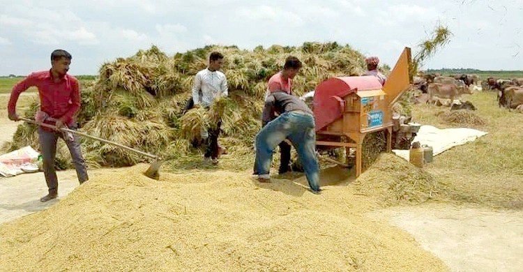 বোরো ধান-চাল সংগ্রহে  সরকার দাম নির্ধারণ করল