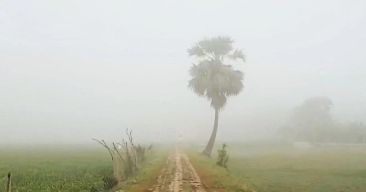 গরমের মধ্যে ভোরে প্রচণ্ড কুয়াশা!