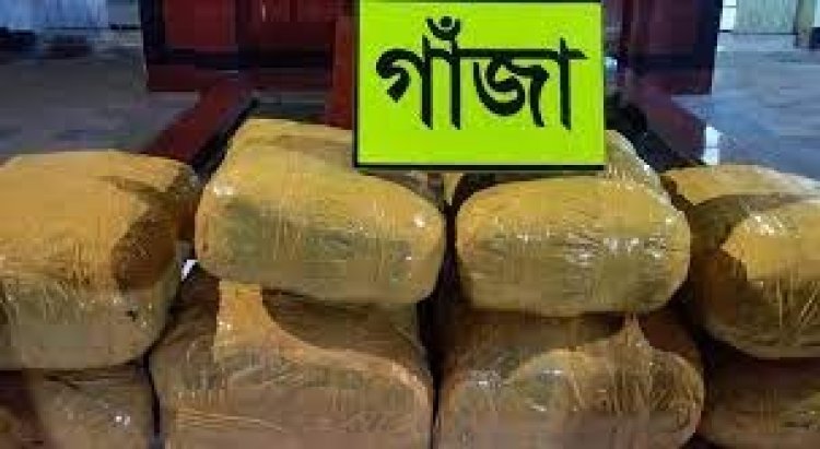 যাত্রাবাড়ীতে ৫০ কেজি গাঁজাসহ গ্রেপ্তার ২