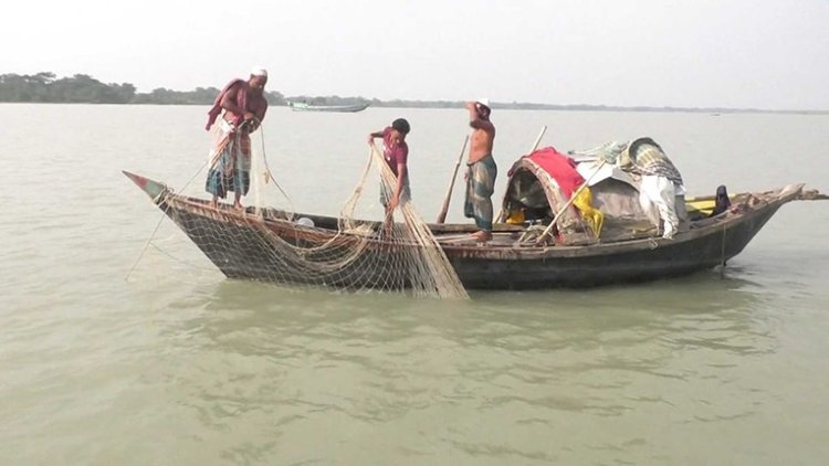 ভরা মৌসুমেও দেখা নেই রুপালি ইলিশের