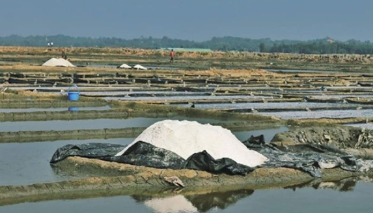 মহেশখালীতে ৩ লবণচাষির মৃত্যু