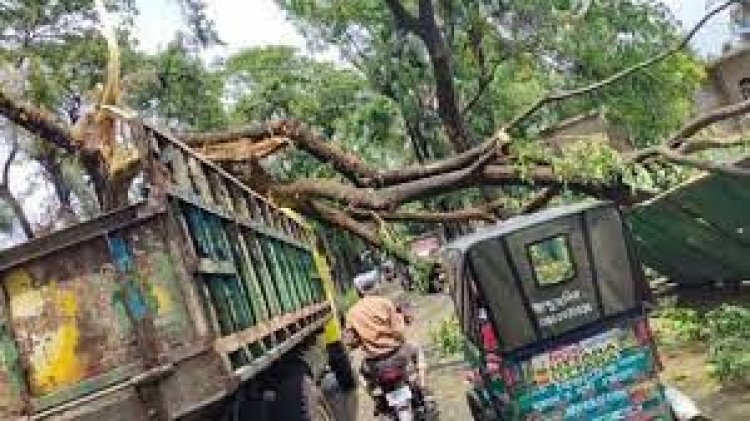 কলকাতায় এক মিনিটের কালবৈশাখীতে প্রাণ গেল ৯ জনের