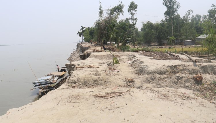 কুড়িগ্রামে ব্রহ্মপুত্রের ভাঙনে গৃহহীন ৩০০ পরিবার ঝুঁকিতে বাঁধ স্কুলসহ ১০ গ্রাম