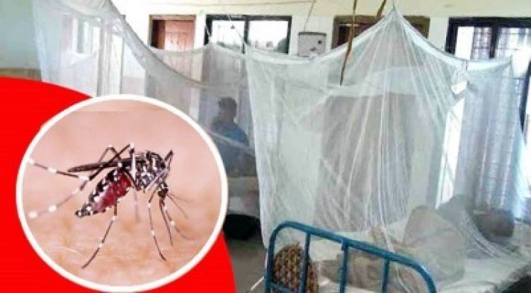 ডেঙ্গুতে একজনের মৃত্যু, হাসপাতালে ভর্তি ১০১