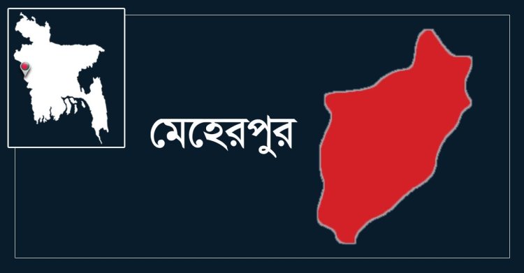 মেহেরপুরে বিদ্যুৎস্পৃষ্ট হয়ে মা-মেয়ের মৃত্যু