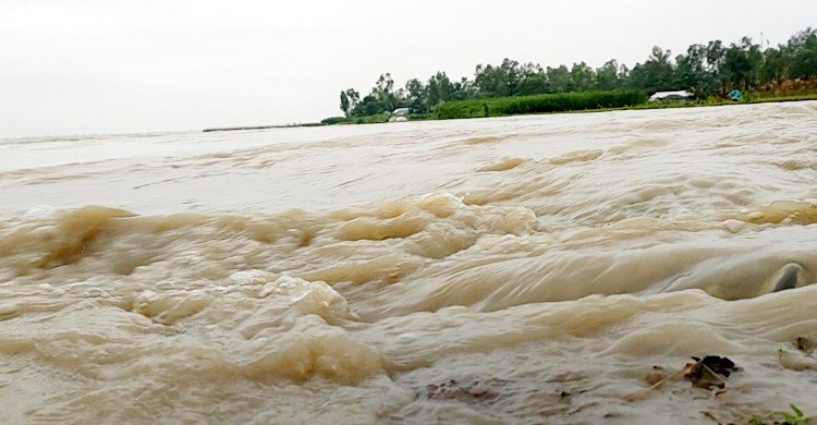 খুলে দেওয়া হয়েছে ৪৪ গেট: হু হু করে পানি বাড়ছে তিস্তায়, নিম্নাঞ্চল প্লাবিত