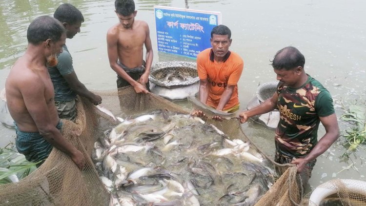 ২০২১-২২ অর্থবছরে ৭৪০৪২.৬৭ টন মাছ বিদেশে রপ্তানি হয়েছে