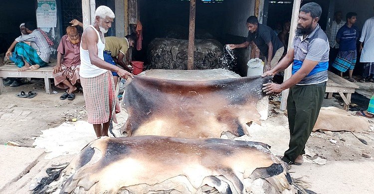 ত্রিমুখী সংকটে রাজারহাটের চামড়া ব্যবসায়ীরা