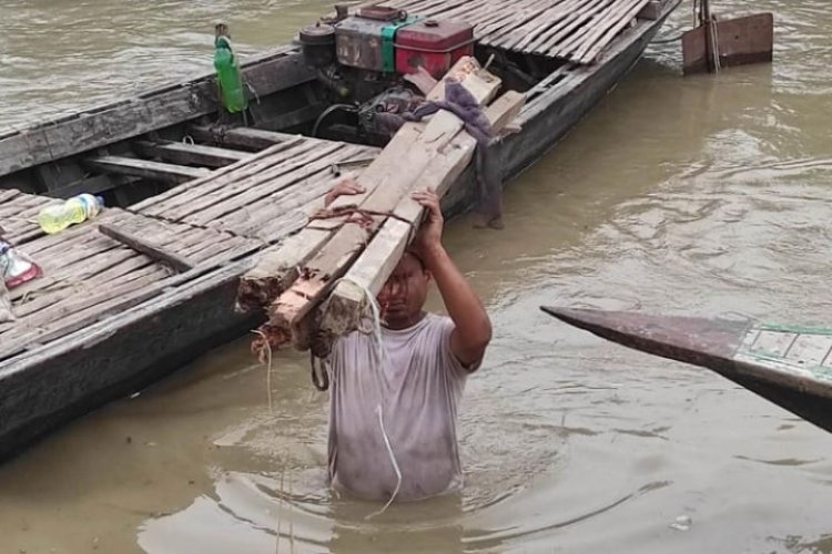 বাড়ছে যমুনার পানি, অর্ধশতাধিক ঘরবাড়ি নদীগর্ভে বিলীন