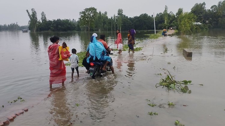 কুড়িগ্রামে পানির নিচে গ্রামীণ সড়ক, চলাচলে ভোগান্তি