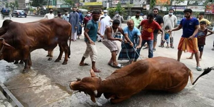 রাজধানীতে ঈদের দ্বিতীয় দিনেও চলছে পশু কোরবানি