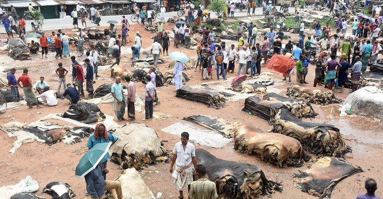 বেশি দামে চামড়া কিনে বিপাকে মৌসুমি ব্যবসায়ীরা