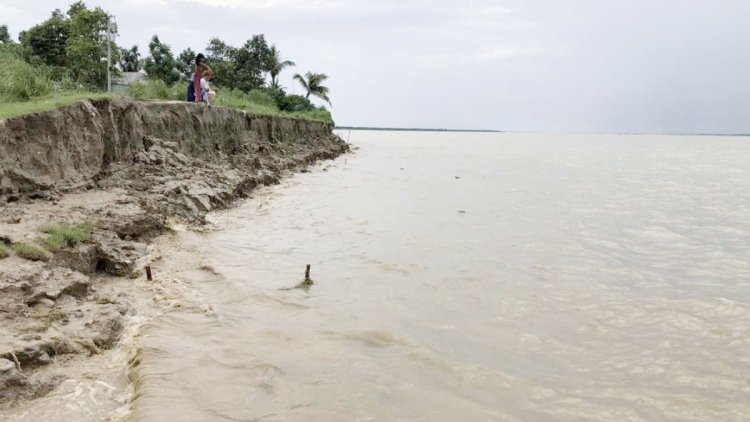 দৌলতদিয়ায় ভাঙছে নদী, আতঙ্কে স্থানীয়রা