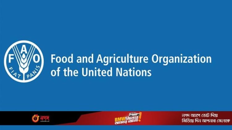 আবারও জাতিসংঘের খাদ্য ও কৃষি সংস্থার কাউন্সিল সদস্য নির্বাচিত বাংলাদেশ