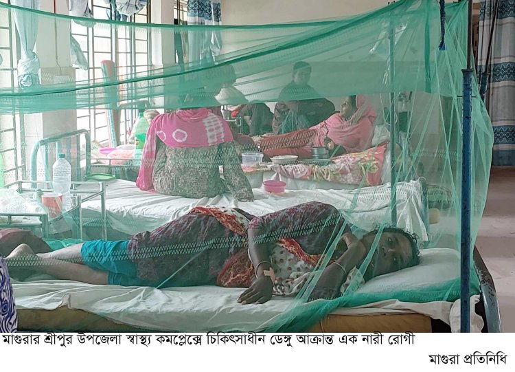 মাগুরায় একই গ্রামের ১০ জনসহ  ৩৮ নারী-পুরুষ ডেঙ্গু রোগে আক্রান্ত 