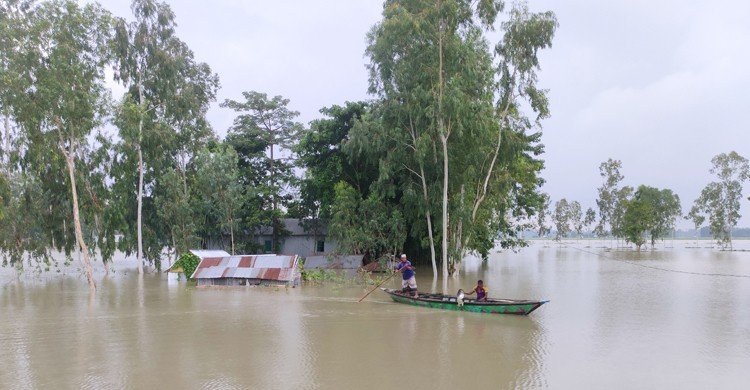 কুড়িগ্রাম: দুই নদীর পানি বিপৎসীমার ওপরে, পানিবন্দি ১৫ হাজার মানুষ