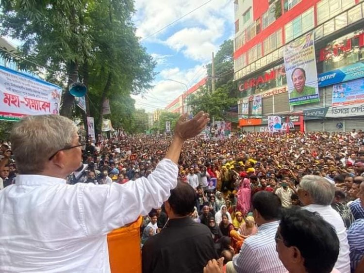 বিদেশিরা যাই বলুক, বিএনপির এক দাবি সরকারের পদত্যাগ: মির্জা ফখরুল