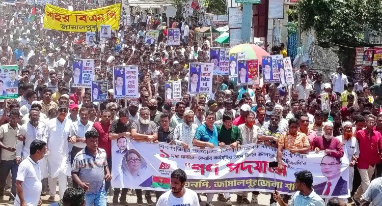 বাংলাদেশের সকল মানুষের দাবি একটাই এই সরকারের পতন: ওয়ারেছ আলী মামুন