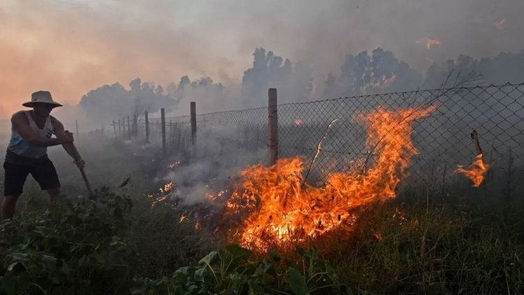 আলজেরিয়াজুড়ে ভয়াবহ দাবানল, ১০ সৈন্যসহ নিহত ৩৪