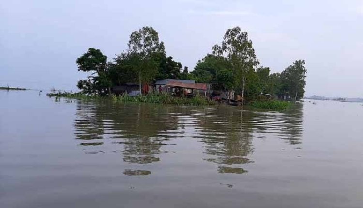 বাড়ছে যমুনা নদীর পানি