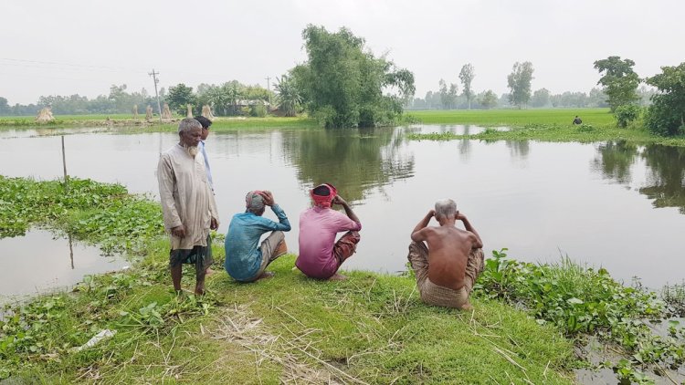 পাউবোর গাফিলতিতে হাজারো একরের ফসল উৎপাদন ব্যাহত!