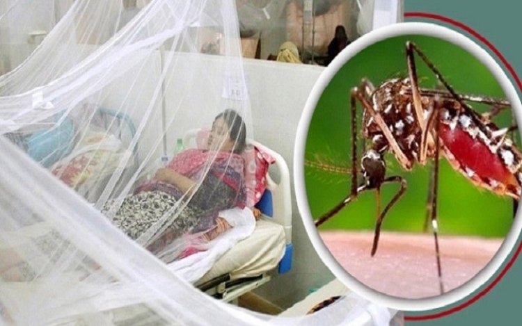 ডেঙ্গুতে ৯ জনের মৃত্যু, হাসপাতালে ১৯৬০