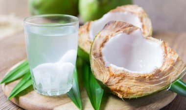 ডাবের পানি খেলে কি প্লাটিলেট বাড়ে?