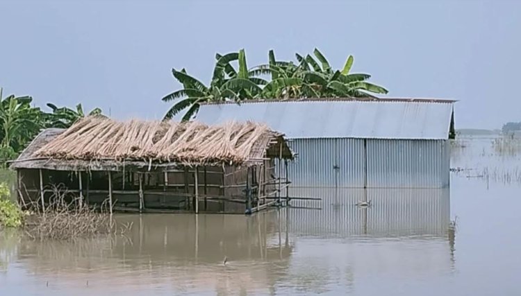 টাঙ্গাইলে পানিবন্দি  ২০ হাজার মানুষ