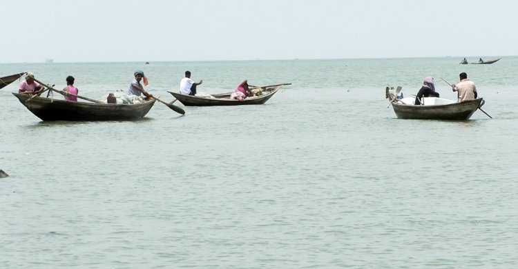 নদীতে মিলছে না ইলিশ