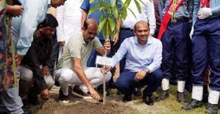  প্রতিটি বাড়িতে গাছ লাগানোর আহ্বান মেয়র আতিকের