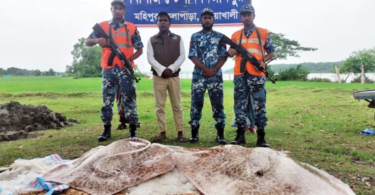 ১২ লাখ টাকার নিষিদ্ধ শাপলা পাতা মাছ জব্দ