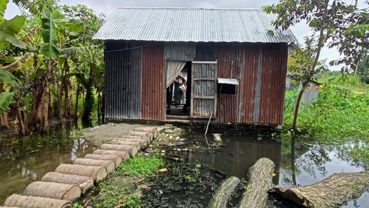 ঘরে মশা বাইরে জমেছে পানি, শিশুদের নিয়ে শঙ্কায় বাবা-মা