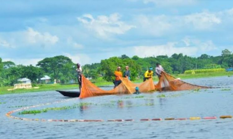 ভরা মৌসুমেও মাছের আকাল, বাজারে চড়া দাম