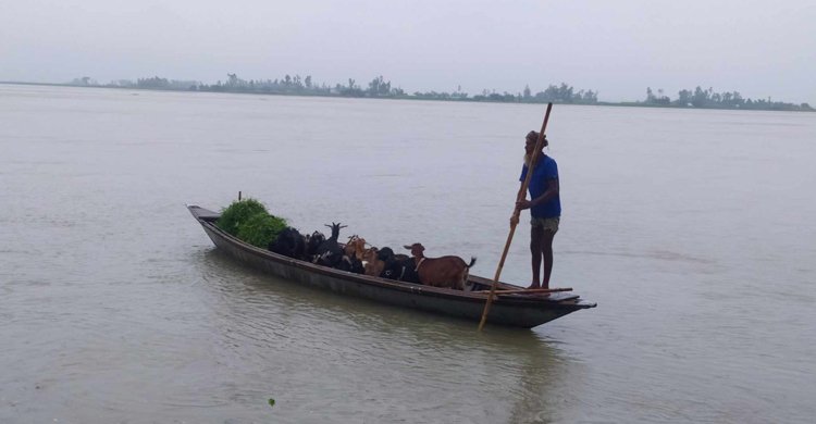 তিস্তায় বাড়ছে পানি, খুলে দেওয়া হয়েছে ৪৪ গেট