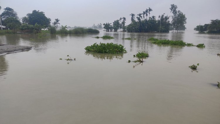 তিস্তার পানি বিপৎসীমার ওপরে, নিম্নাঞ্চল প্লাবিত