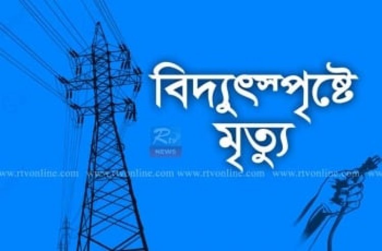  বিদ্যুৎস্পৃষ্টে প্রাণ গেলো ইলেকট্রিশিয়ানের