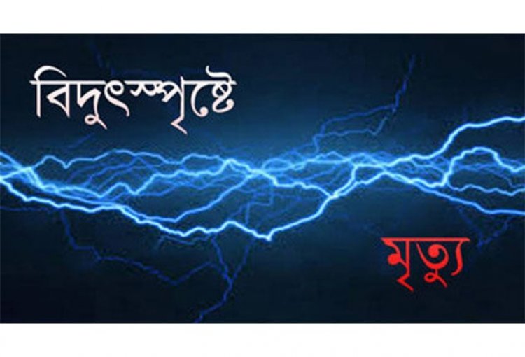 নোয়াখালীতে বিদ্যুৎস্পৃষ্টে ২ শিশুর মৃত্যু