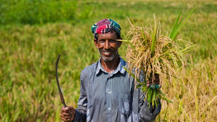 এবার ঢাকায় তিন লাখ কৃষক-কৃষাণী নিয়ে মহাসমাবেশ