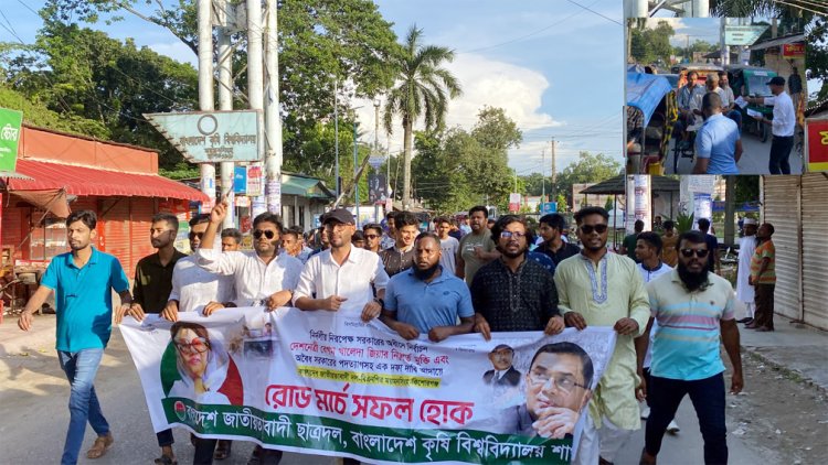 রোডমার্চকে সফল করতে বাকৃবি ছাত্রদলের প্রচার মিছিল ও লিফলেট বিতরণ