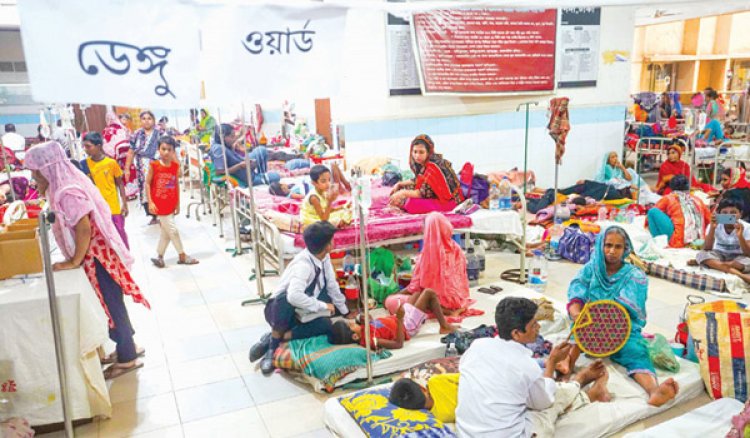 ডেঙ্গুতে একদিনে আরও ১৩ জনের প্রাণহানি, হাসপাতালে ভর্তি ২৭৯৯ রোগী