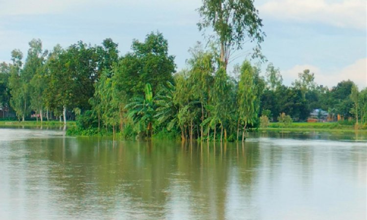 গাইবান্ধায় তিস্তার পানি বিপৎসীমার ওপরে, প্লাবিত নিম্নাঞ্চল