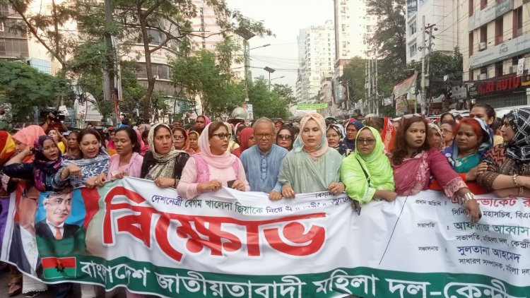 আপনি কি রাজকন্যা,আপনার বাবা কি রাজা ছিলেন প্রধানমন্ত্রীকে রিজভী 